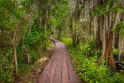 101 Jean Lafitte NP